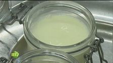 Panna cotta biologica