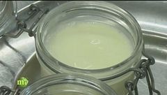 Panna cotta biologica
