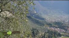Il rapporto tra l'olivicultura e il territorio
