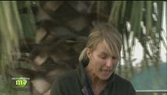 Puntata del 29 novembre