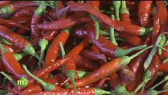 Un simbolo della Calabria