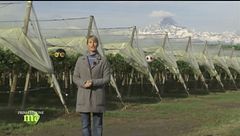 Puntata del 22 novembre