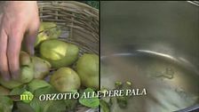 Orzotto alle pere pala
