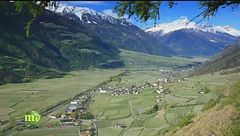 Le mele della Val Venosta