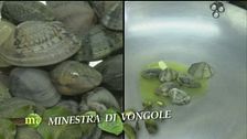 Minestra di vongole con la fregola