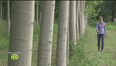 Puntata dell'11 ottobre