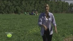 Puntata del 20 settembre