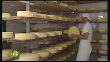 Il formaggio Montasio