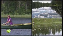 Puntata del 31 maggio