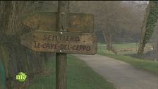 Un angolo di natura