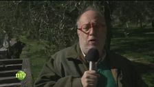 L'oro di Montìsola