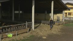 Puntata del 22 marzo