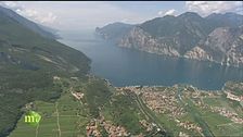 Fior fior di zafferano