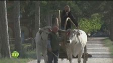 Puntata del 21 dicembre
