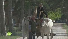 Puntata del 21 dicembre