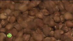 Arte gelatiera e pasticcera