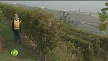 L'Amarone