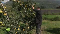 Il progetto di due fratelli