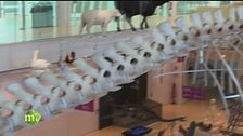 Il museo della scienza di Trento