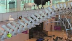 Il museo della scienza di Trento