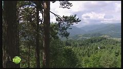 La pesca con la mosca