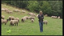 Puntata del 26 ottobre