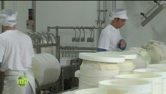 Il Grana Padano: eccellenza italiana