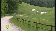 Foresta del Cansiglio e l'economia sostenibile