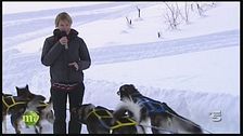 Lo sleddog