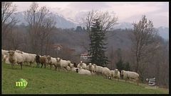 La cugna