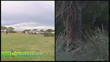 Puntata del 19 gennaio