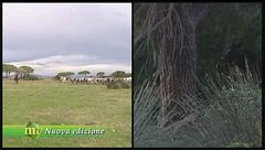 Puntata del 19 gennaio