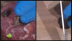 Manzo steccato al tartufo