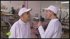 Le fasi della lavorazione del tonno