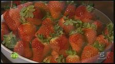 Frutta: oro per il nostro corpo