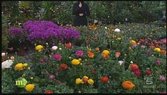 Puntata del 21 aprile