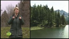 Puntata del 7 aprile