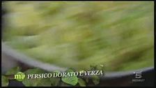 Persico dorato e verza