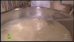 La produzione del formaggio Montebore