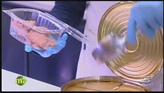 Puntata del 2 dicembre