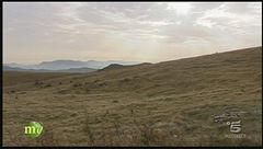 Un allevamento di cavalli bardigiani