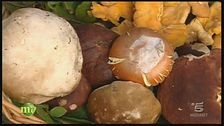Ricette con le mazze di tamburo