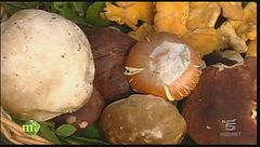 Ricette con le mazze di tamburo