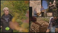 Puntata del 25 novembre