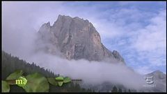 La tosella