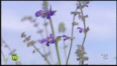 Puntata del 28 ottobre