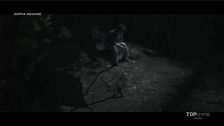 Nel bosco - 19 novembre