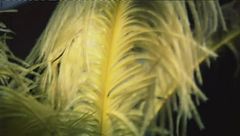 Settima puntata - 15 maggio