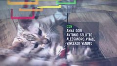 Seconda puntata