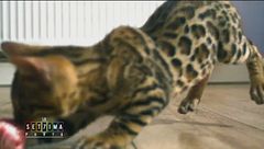 Giocare per crescere